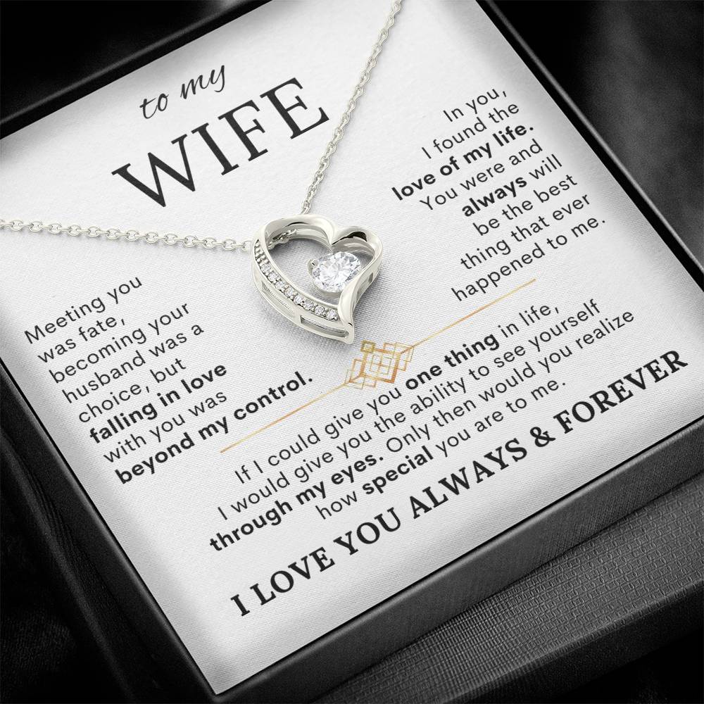 To My Wife – Meeting You Was Fate Heart Necklace with Message Card