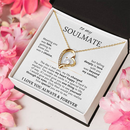 To My Soulmate – Meeting You Was Fate Heart Necklace with Message Card