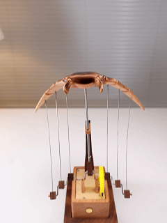 Handcrafted Wooden Manta Ray